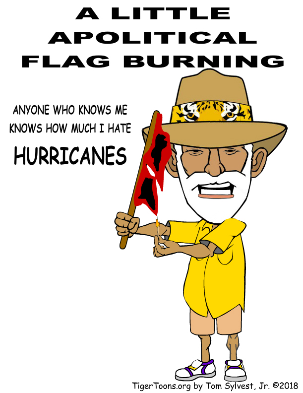 Hurricane Flags